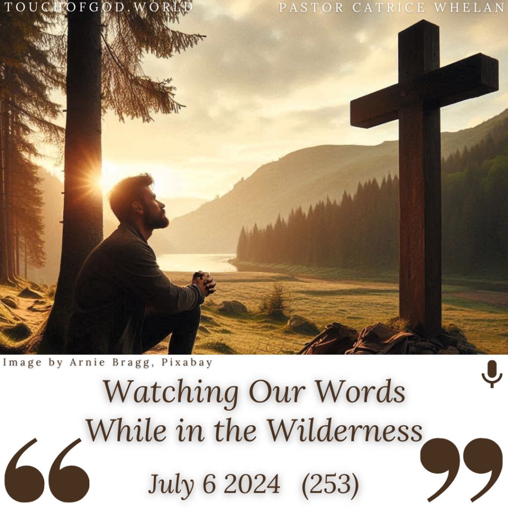 Watching Our Words While in the Wilderness (253) – July 6 2024